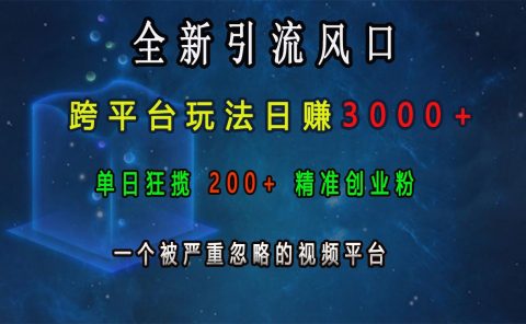 全新引流风口，跨平台玩法日赚3000+，单日狂揽200+精准创业粉，一个被严重忽略的视频平台