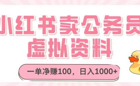 小红书卖公务员虚拟资料，一单净赚100，日入1000+