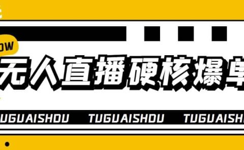 大飞无人直播硬核爆单技术，轻松玩转无人直播