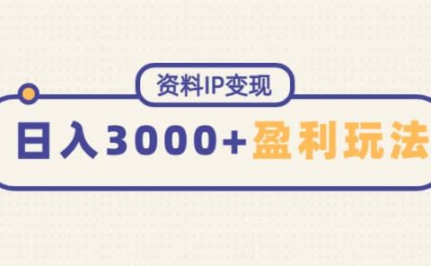 资料IP变现,持续性盈利玩法