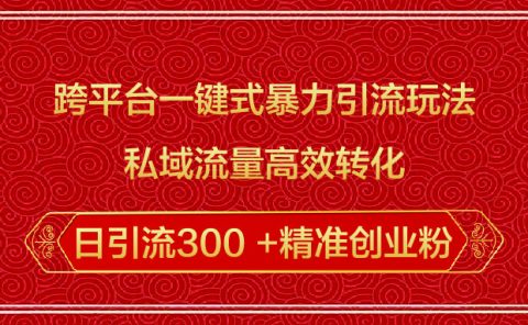 跨平台一键式暴力引流玩法，私域流量高效转化日引流300 +精准创业粉