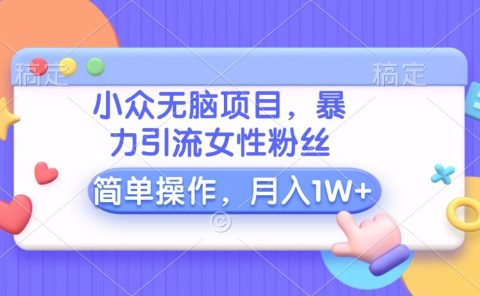 小众无脑项目,暴力引流女性粉丝,简单操作,月入10000+元