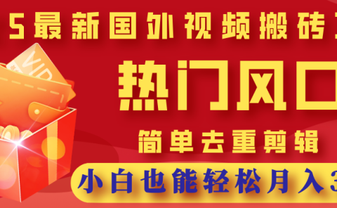 2025最新国外视频搬砖项目，热门风口，简单去重剪辑，小白也能轻松月入3W+