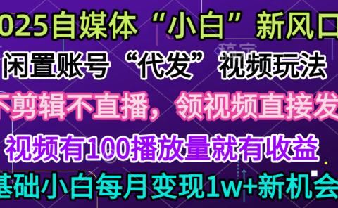 2025每月躺赚5w+新机会，闲置视频账号一键代发玩法，0粉不实名不剪辑，领了视频直接发，0基础小白也能日入300+