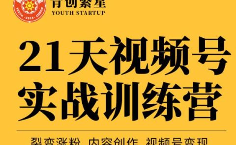 张萌21天视频号实战训练营，裂变涨粉、内容创作、视频号变现 价值298元