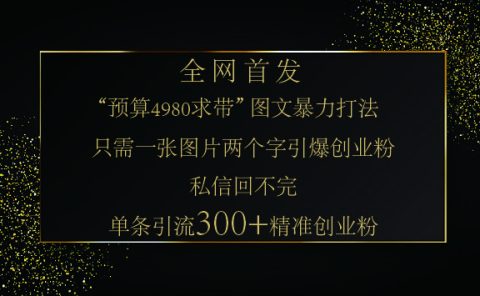 小红书，“预算 4980 带我飞” 的神奇图片引流法，堪称涨粉核武器！只需一张图，就能单条笔记凭借此方法，轻松引流 300 + 精准创业粉！