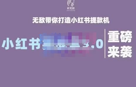 谢无敌·小红书实战营3.0，无敌带你打造小红书提款机 价值7999元