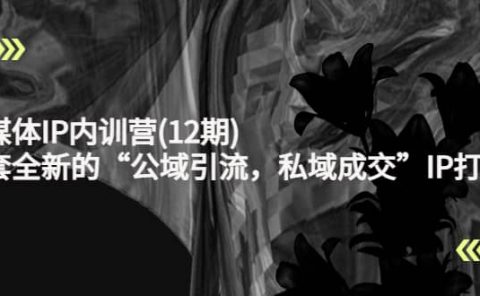 新媒体IP内训营(12期)，一套全新的“公域引流，私域成交”IP打法，直接带走