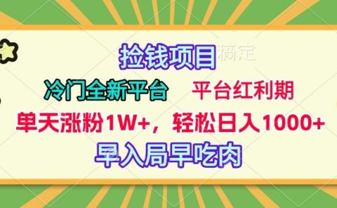 冷门全新捡钱平台，当天涨粉1W+，日入1000+，傻瓜无脑操作