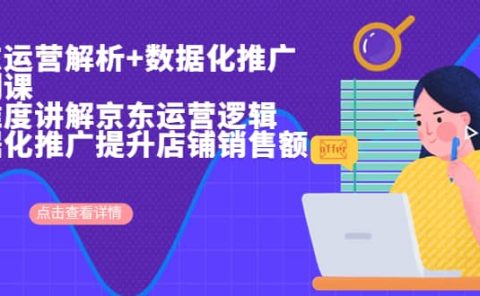 京东运营解析与数据化推广系列课，全维度讲解京东运营逻辑+数据化推广提升店铺销售额