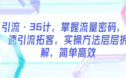 引流·36计，掌握流量密码，快速引流拓客，实操方法层层拆解，简单高效