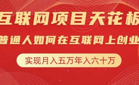 互联网项目终点站，普通人如何在互联网上创业，实现月入5w年入60w，改变思维，实现逆天改命