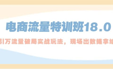 电商流量特训班18.0，直引万流量破局实操玩法，现场出数据拿结果