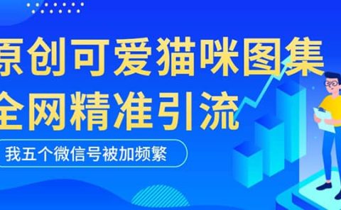 黑科技纯原创可爱猫咪图片，全网精准引流，实操5个VX号被加频繁
