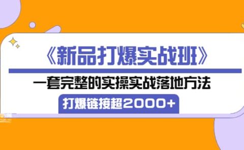 《新品打爆实战班》一套完整的实操实战落地方法,打爆链接超2000+(38节课)