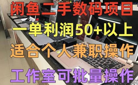 闲鱼二手数码项目，个人副业低保收入，工作室批量放大操作