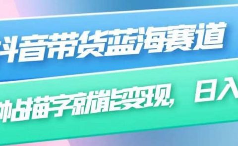 抖音带货蓝海赛道，无需真人出镜，字帖描字就能变现，日入上千（附带全套教程）
