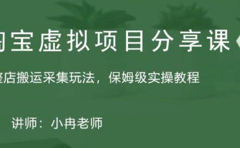 淘宝虚拟整店搬运采集玩法分享课:整店搬运采集玩法,保姆级实操教程