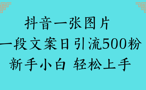 抖音一张图片 一段文案日引流500粉新手小白 轻松上手