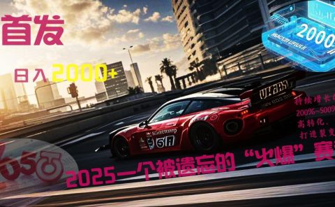 全网首发：2025一个被遗忘的“火爆”赛道轻松日入2000+