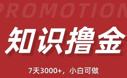 抖音知识撸金项目：执行力强当天见收益(教程+资料)