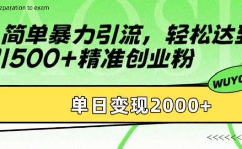 简单暴力引流轻松达到日引500+精准创业粉，单日变现2k【揭秘】