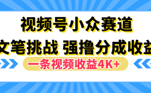 视频号小众赛道，文笔挑战，一条视频收益4K+