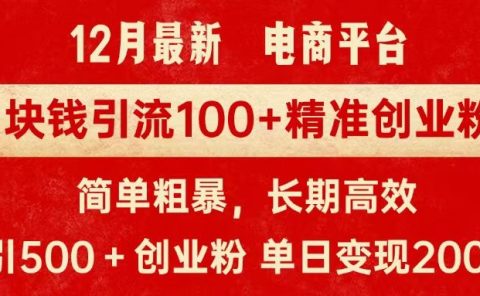 拼多多淘宝电商平台1块钱引流100个精准创业粉,简单粗暴高效长期精准,单人单日引流500+创业粉,日变现2000+