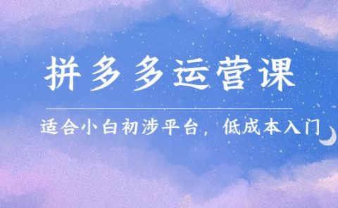 拼多多运营课,适合小白初涉平台,低成本入门