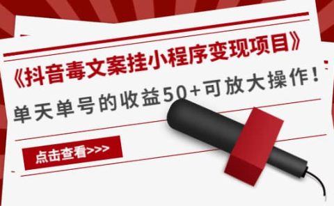 《抖音毒文案挂小程序变现项目》