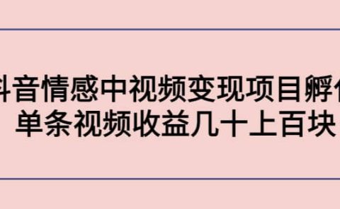 抖音情感中视频变现项目孵化