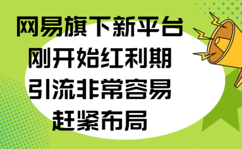 网易旗下新平台，刚开始红利期，引流非常容易，赶紧布局