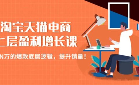 淘宝天猫电商七层盈利增长课:月入N万的爆款底层逻辑,提升销量
