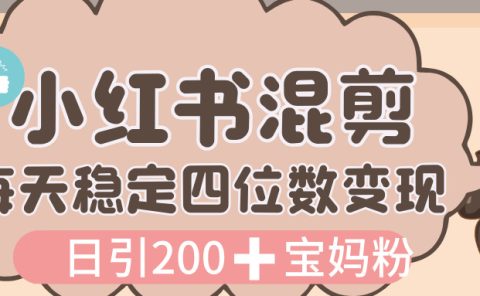价值 3980 的小红书混剪， 虚拟变现，日引 200+宝妈创业粉，每天稳定四位数变现