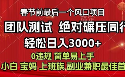 7天赚了1w，年前可以翻身的项目，长久稳定 当天上手 过波肥年