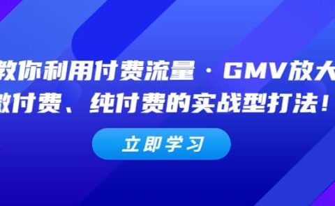 教你利用付费流量·GMV放大，微付费、纯付费的实战型打法