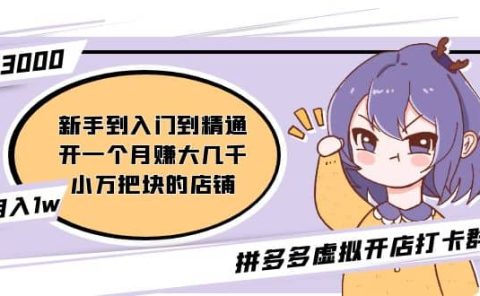 拼多多虚拟开店打卡群:入门到精通(昨日群里有小伙伴3000+)2月26更新