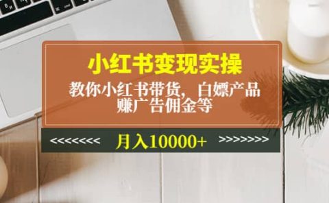 小红书变现实操：教你小红书带货，白嫖产品，赚广告佣金等