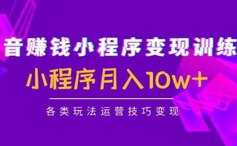 抖音小程序变现训练营:小程序各类玩法运营技巧变现