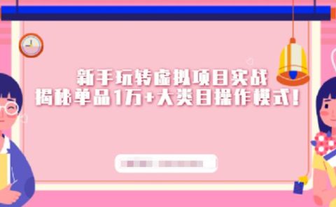 新手玩转虚拟项目实战,揭秘单品1万+大类目操作模式【视频课程】