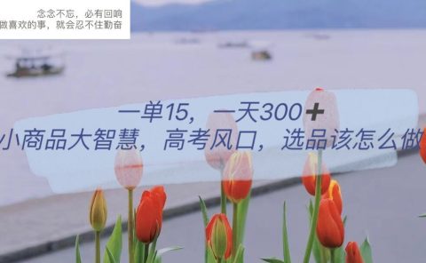 一单15,一天300+,小商品大智慧,高考风口,选品该怎么布局