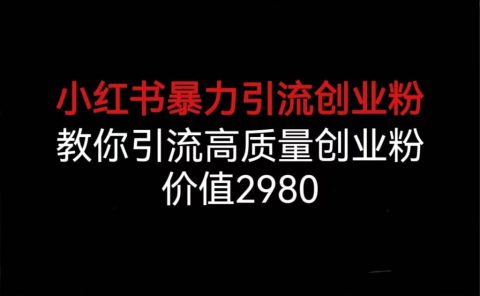 小红书暴力引流创业粉，教你引流高质量创业粉，价值2980