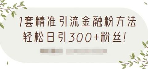 1套精准引流金融粉方法,轻松日引300+粉丝【视频课程】