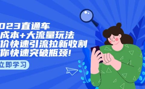 2023直通小成本+大流量玩法，低价快速引流拉新收割，让你快速突破瓶颈
