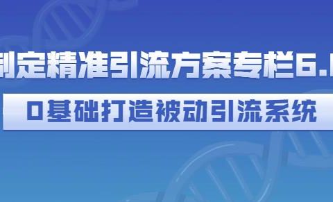 制定精准引流方案专栏6.0，0基础打造被动引流系统
