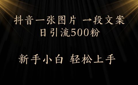 每天2分钟，抖音一张图片 一段文案日引流500粉