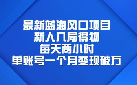 最新蓝海风口项目，新人入局得物，每天两小时，单账号一个月变现破万