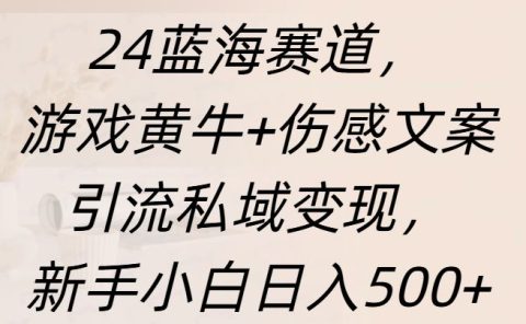 24蓝海赛道，游戏黄牛+伤感文案引流私域变现，新手日入500+