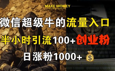 微信超级牛的流量入口，半小时引流100+创业粉，日涨粉1000+