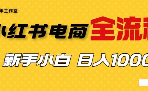 外面收费4988的小红书无货源电商从0-1全流程,日入1000+
